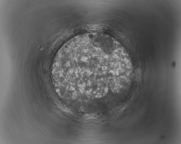 X0000114660913200912011131