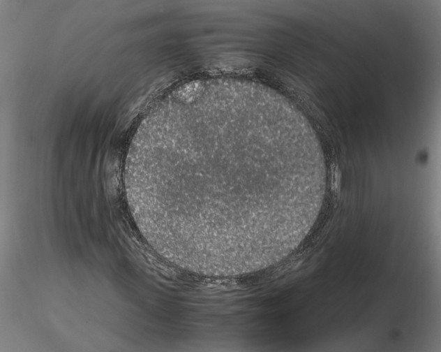 X0000114660915200912011131