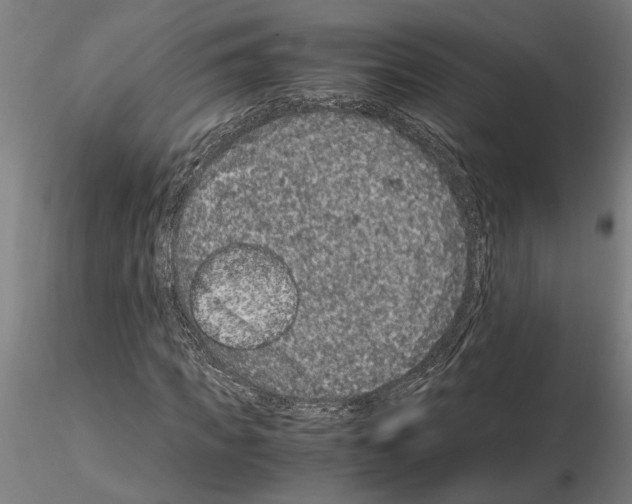 X0000114660917200912011131