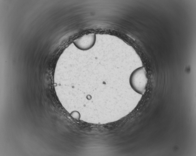 X0000114660918200912011131