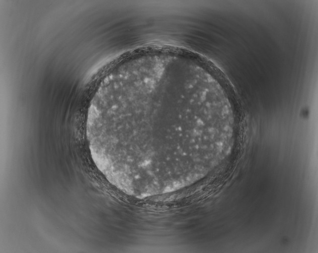 X0000114660919200912011131