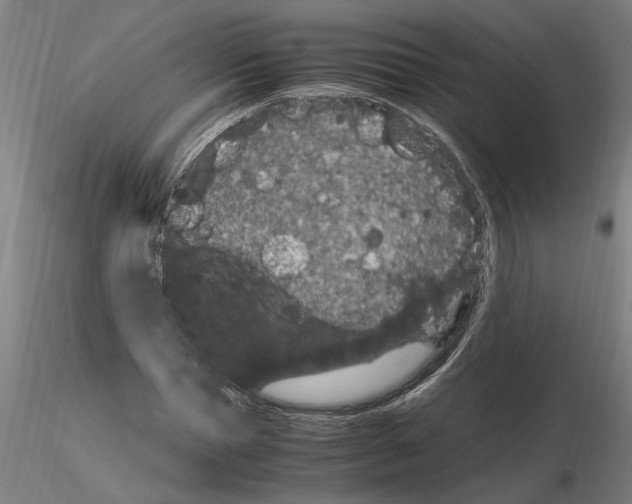 X0000114660921200912011131