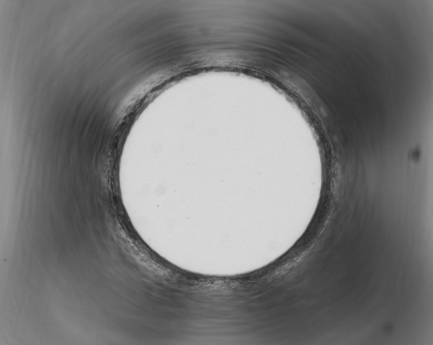 X0000114660922200912011131