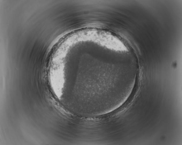 X0000114660923200912011131