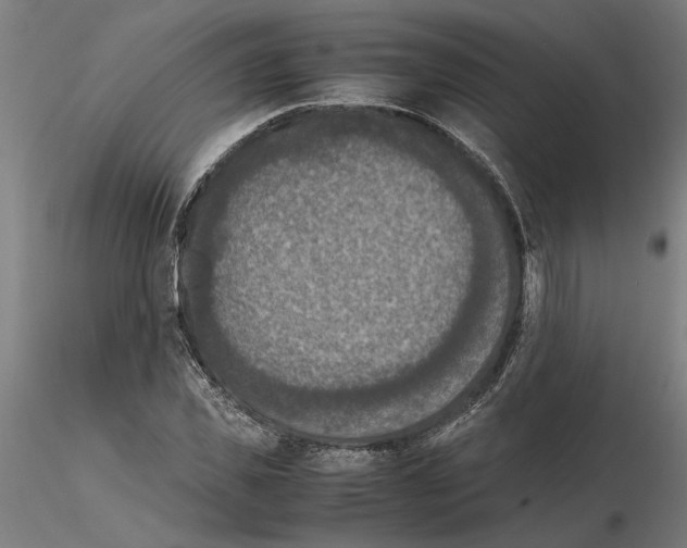 X0000114660925200912011131