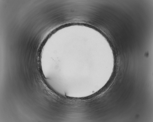 X0000114660926200912011131