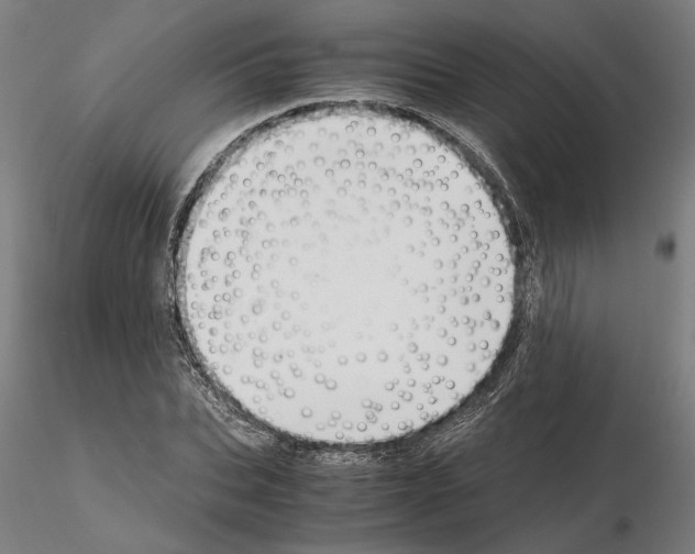 X0000114660927200912011131