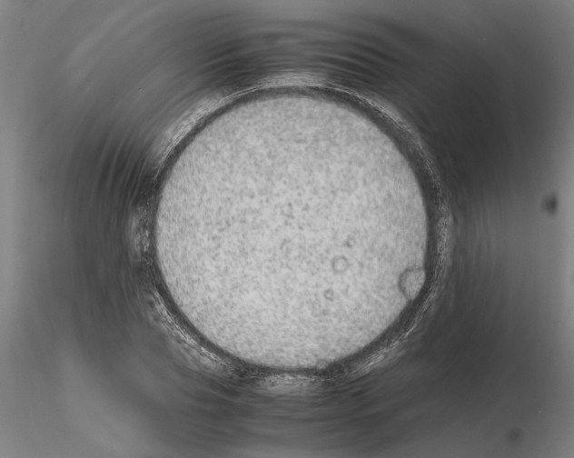 X0000114660929200912011131