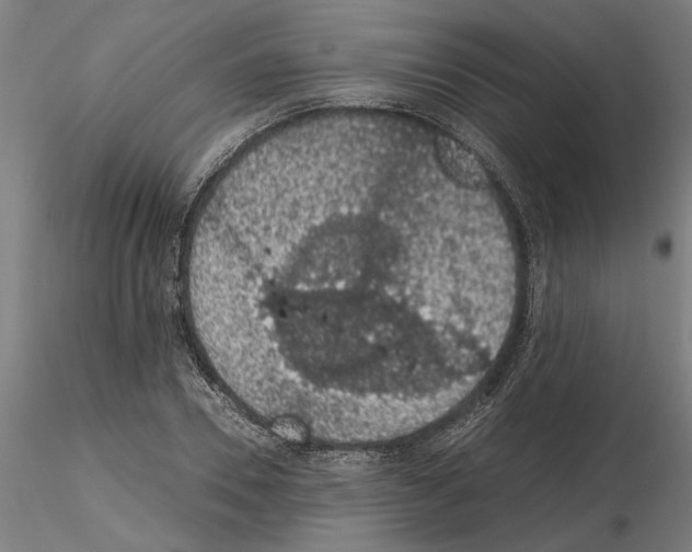 X0000114660930200912011131