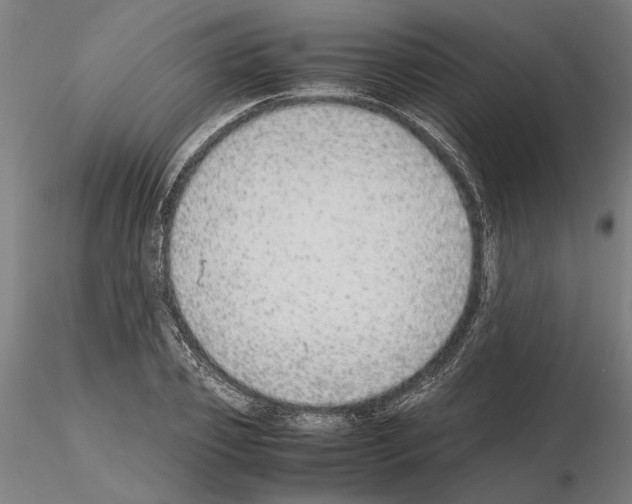 X0000114660933200912011131