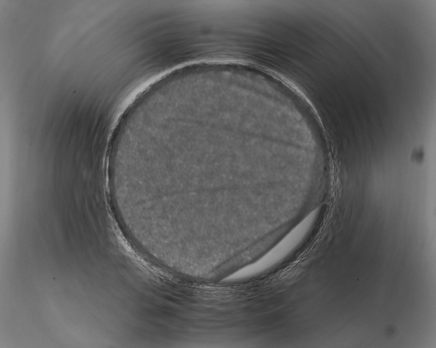 X0000114660935200912011131