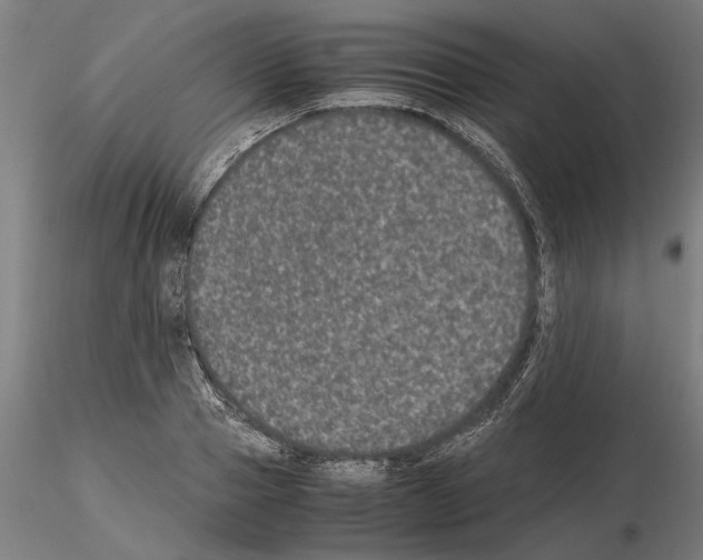 X0000114660937200912011131