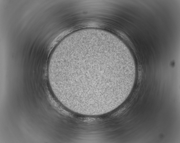 X0000114660938200912011131