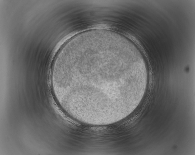 X0000114660939200912011131