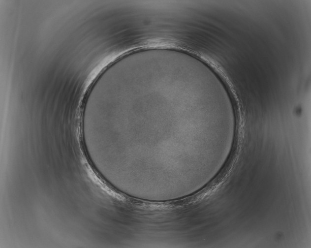 X0000114660941200912011131