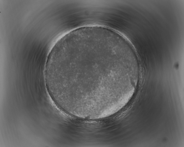 X0000114660943200912011131