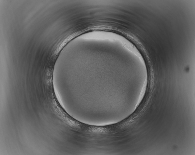 X0000114660945200912011132