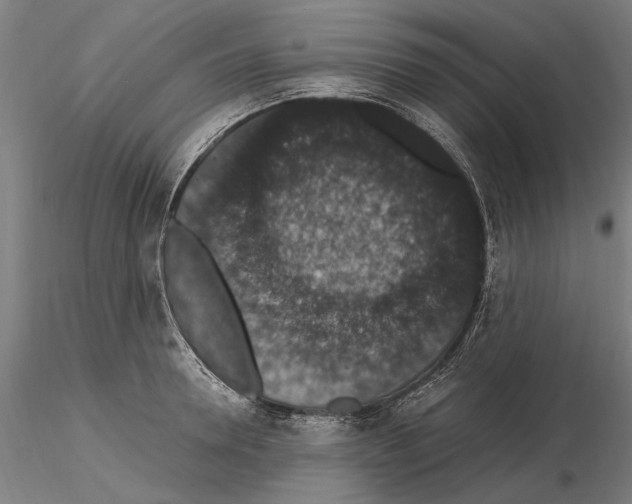 X0000114660946200912011132