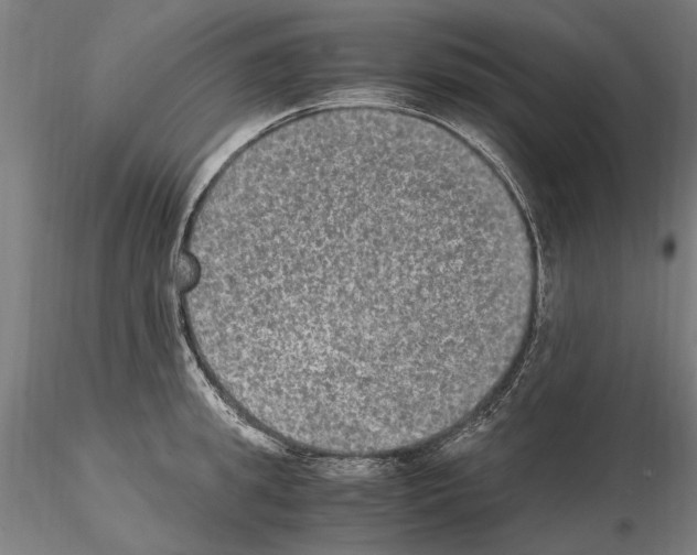 X0000114660949200912011132