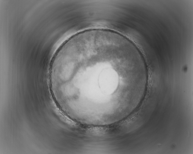 X0000114660950200912011132