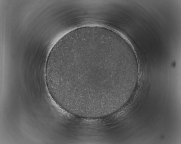 X0000114660951200912011132