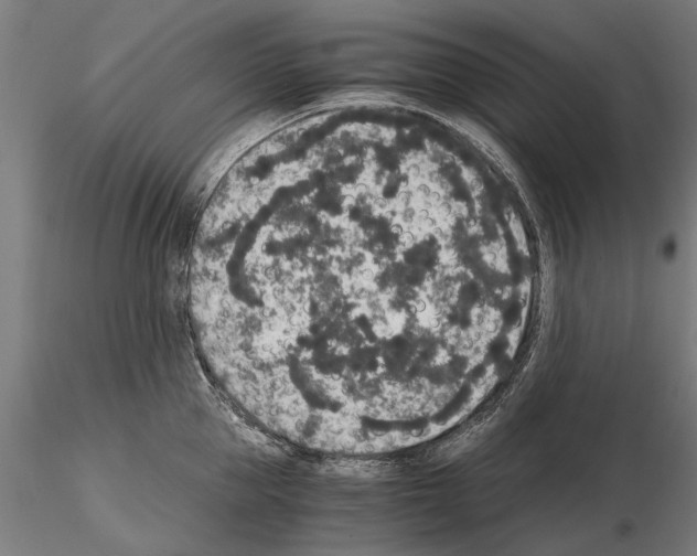 X0000114660953200912011132