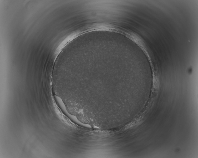 X0000114660954200912011132