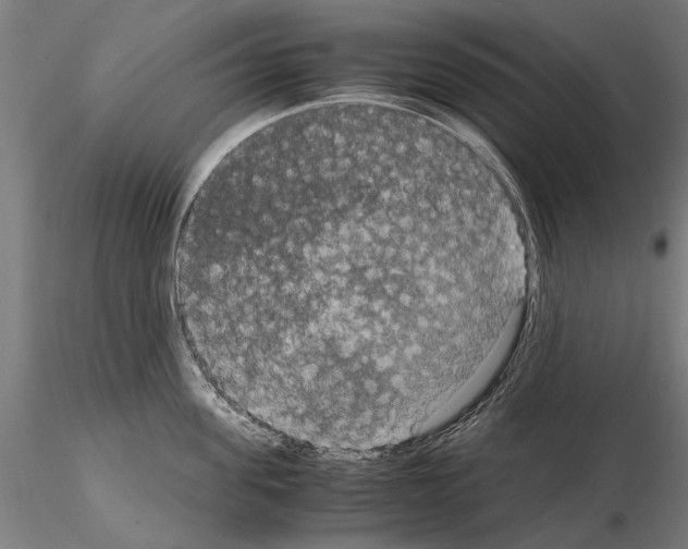 X0000114660955200912011132