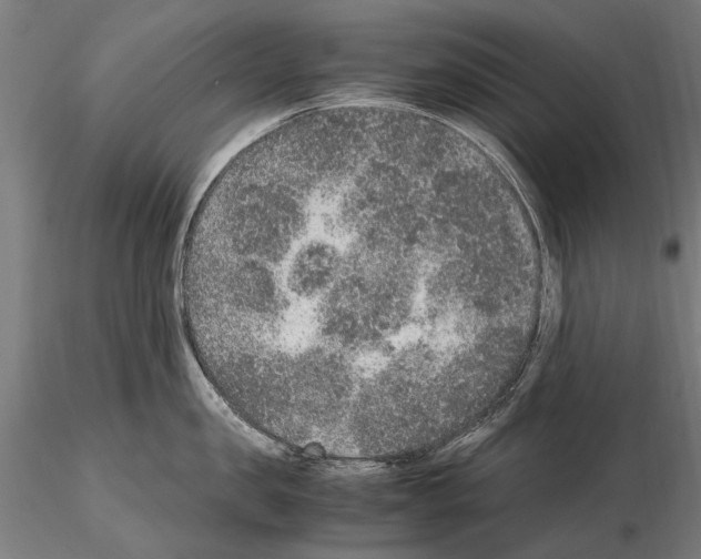 X0000114660957200912011132