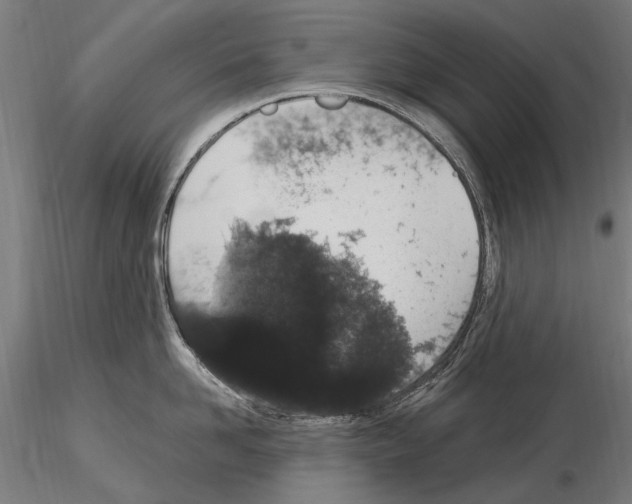 X0000114660958200912011132