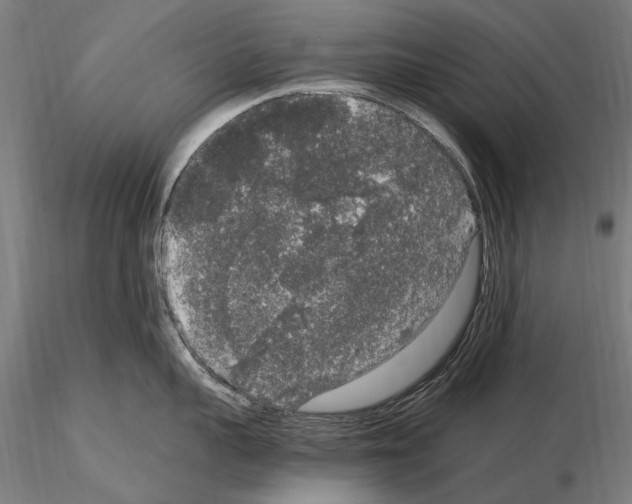 X0000114660959200912011132