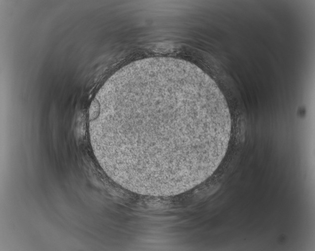 X0000114660962200912011131