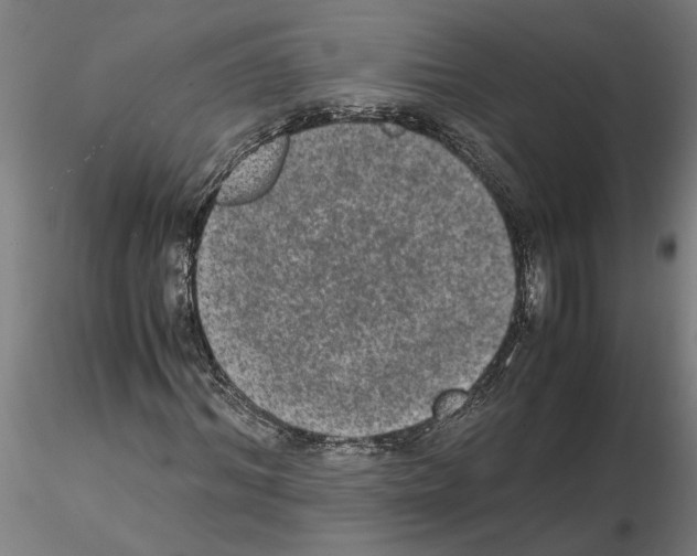 X0000114660964200912011131