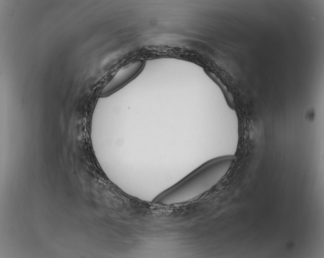 X0000114660965200912011131