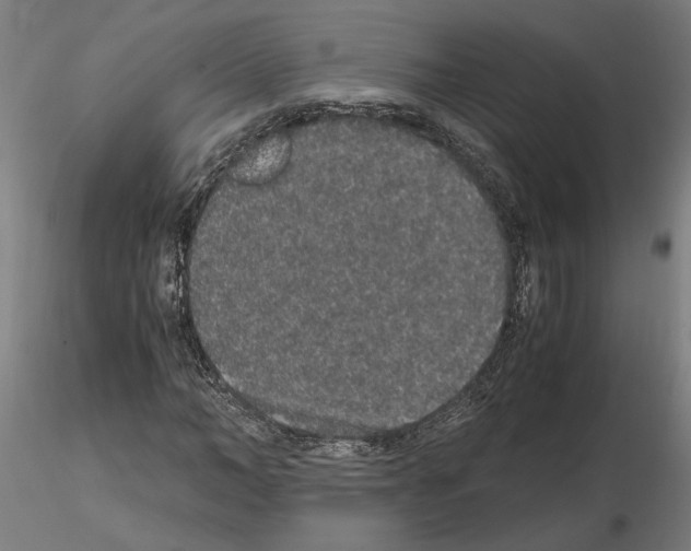 X0000114660966200912011131