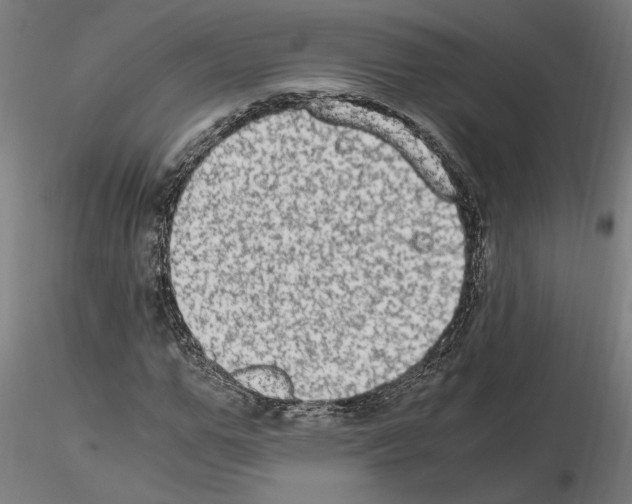 X0000114660967200912011131