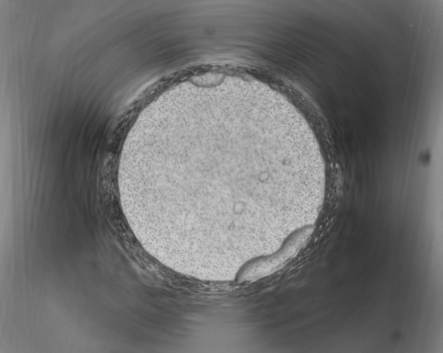 X0000114660968200912011131