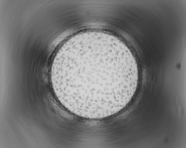 X0000114660970200912011131