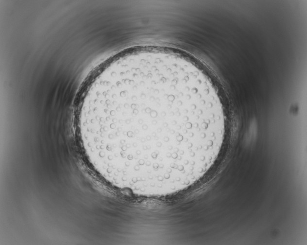 X0000114660974200912011131