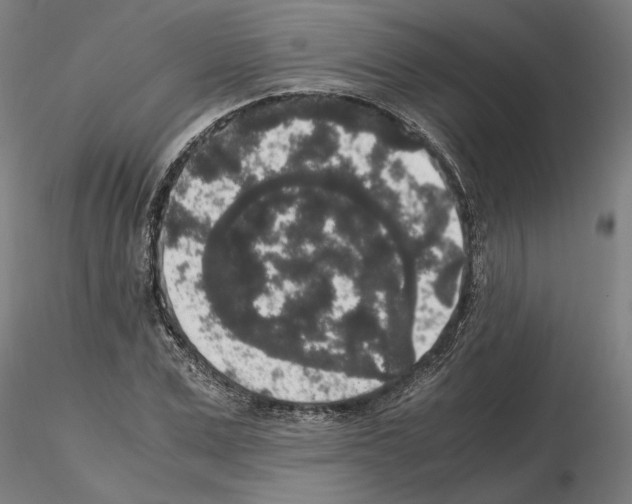 X0000114660975200912011131