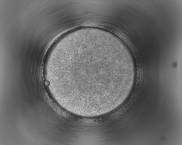 X0000114660976200912011131