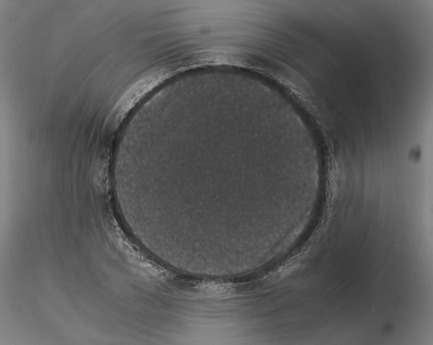 X0000114660977200912011131