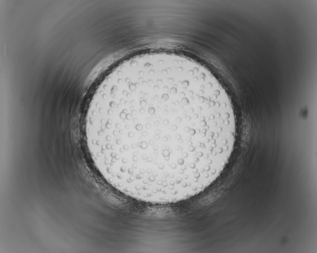 X0000114660978200912011131