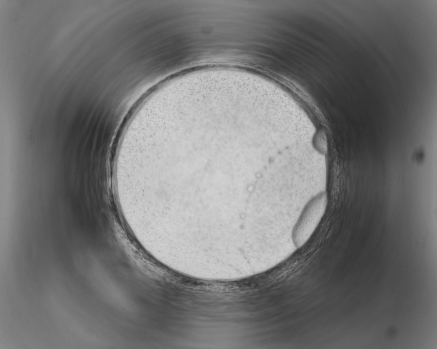 X0000114660980200912011131