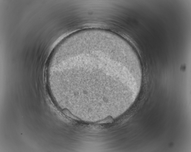 X0000114660983200912011131