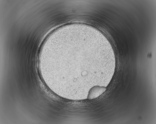 X0000114660984200912011131