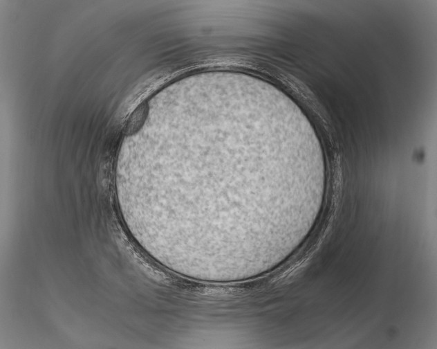 X0000114660985200912011131