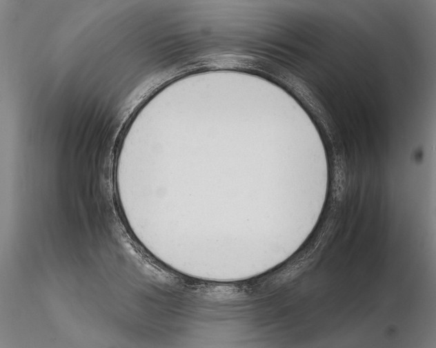 X0000114660986200912011131