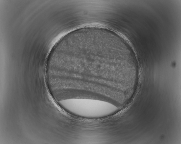 X0000114660989200912011130