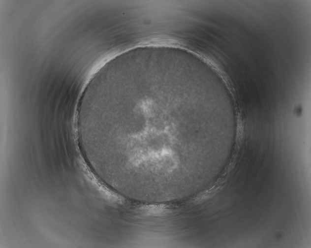 X0000114660990200912011130